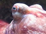 IMG_5525 IMG_5525