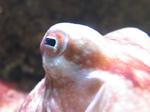 IMG_5526 IMG_5526
