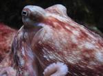 IMG_5527 IMG_5527