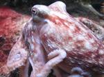 IMG_5528 IMG_5528