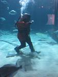 IMG_0646 IMG_0646