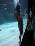 IMG_0643 IMG_0643