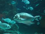 IMG_0641 IMG_0641