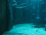 IMG_0615 IMG_0615