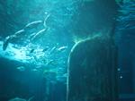 IMG_0619 IMG_0619