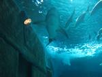 IMG_0621 IMG_0621