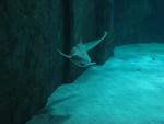 IMG_0622 IMG_0622