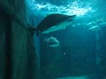 IMG_0624 IMG_0624