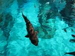 IMG_0638 IMG_0638