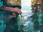 IMG_0640 IMG_0640