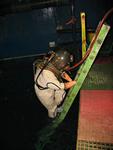 IMG_5842 IMG_5842