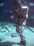 IMG_5845 IMG_5845