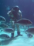 IMG_5856 IMG_5856