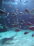 IMG_5857 IMG_5857