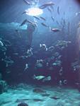 IMG_5860 IMG_5860