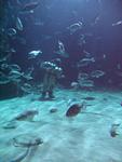 IMG_5861 IMG_5861