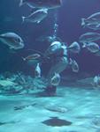 IMG_5862 IMG_5862