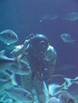 IMG_5863 IMG_5863