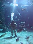 IMG_5867 IMG_5867