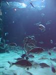 IMG_5868 IMG_5868