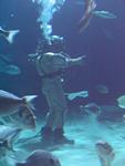IMG_5869 IMG_5869