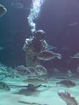 IMG_5870 IMG_5870
