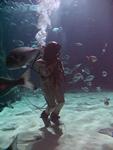 IMG_5871 IMG_5871