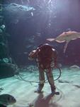 IMG_5880 IMG_5880
