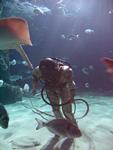 IMG_5881 IMG_5881