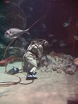 IMG_5887 IMG_5887