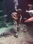 IMG_5888 IMG_5888
