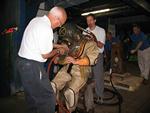 IMG_5896 IMG_5896
