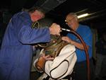IMG_7284 IMG_7284