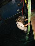 IMG_7295 IMG_7295