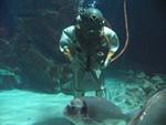 IMG_7297 IMG_7297