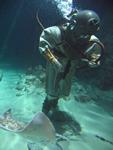 IMG_7299 IMG_7299