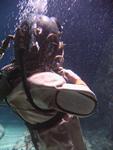 IMG_7301 IMG_7301