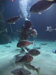 IMG_7303 IMG_7303