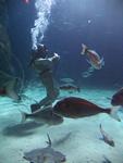 IMG_7304 IMG_7304