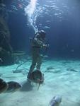 IMG_7306 IMG_7306