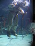 IMG_7308 IMG_7308