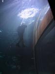 IMG_7310 IMG_7310