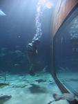 IMG_7311 IMG_7311