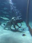 IMG_7313 IMG_7313