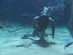 IMG_7314 IMG_7314