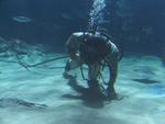 IMG_7315 IMG_7315