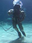 IMG_7317 IMG_7317