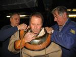 IMG_7339 IMG_7339