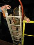 IMG_7359 IMG_7359