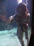 IMG_7363 IMG_7363